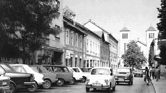 Digitalna Čapljina -monografija