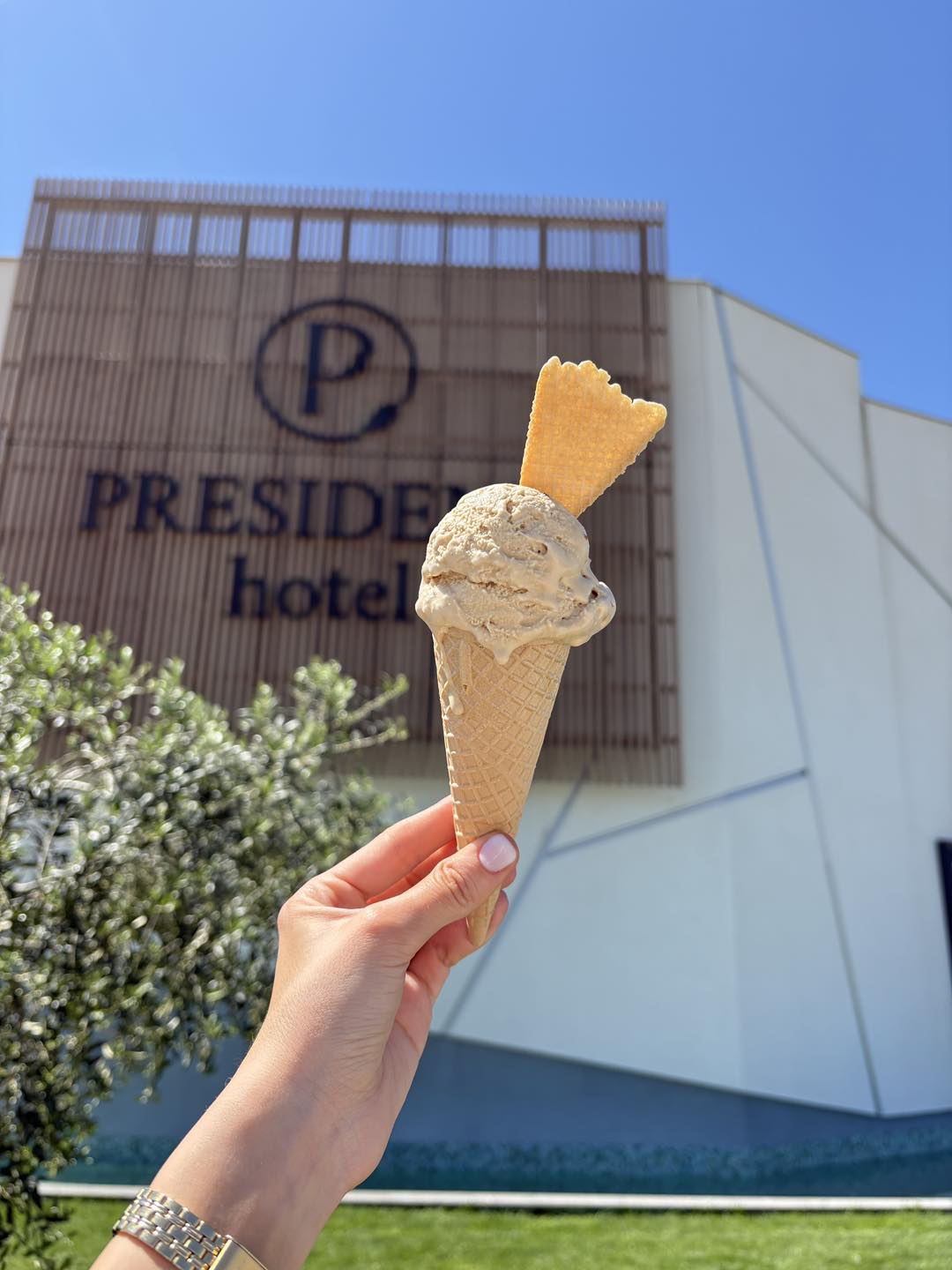 Hotel President