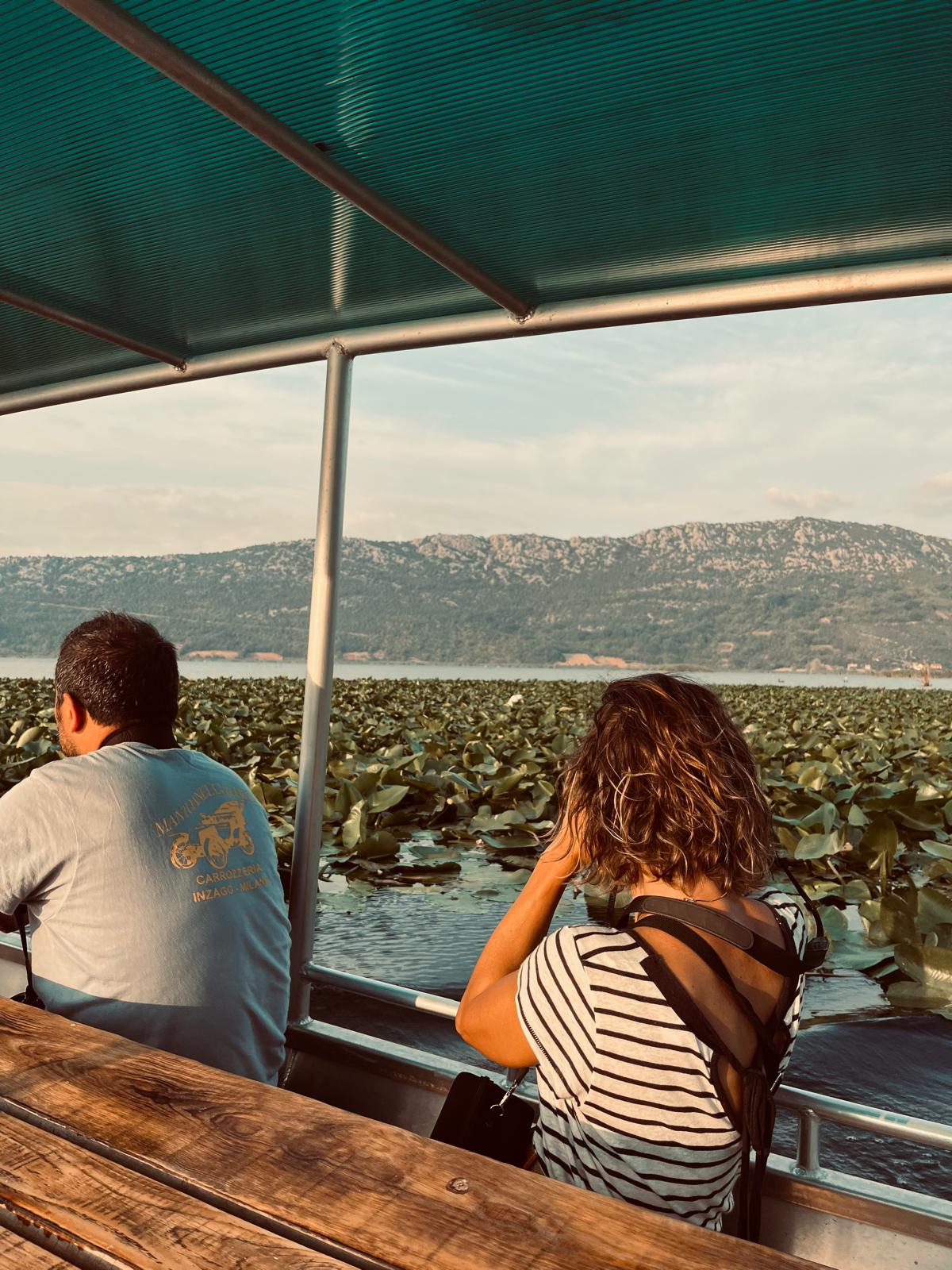 Lake Tour Svitava