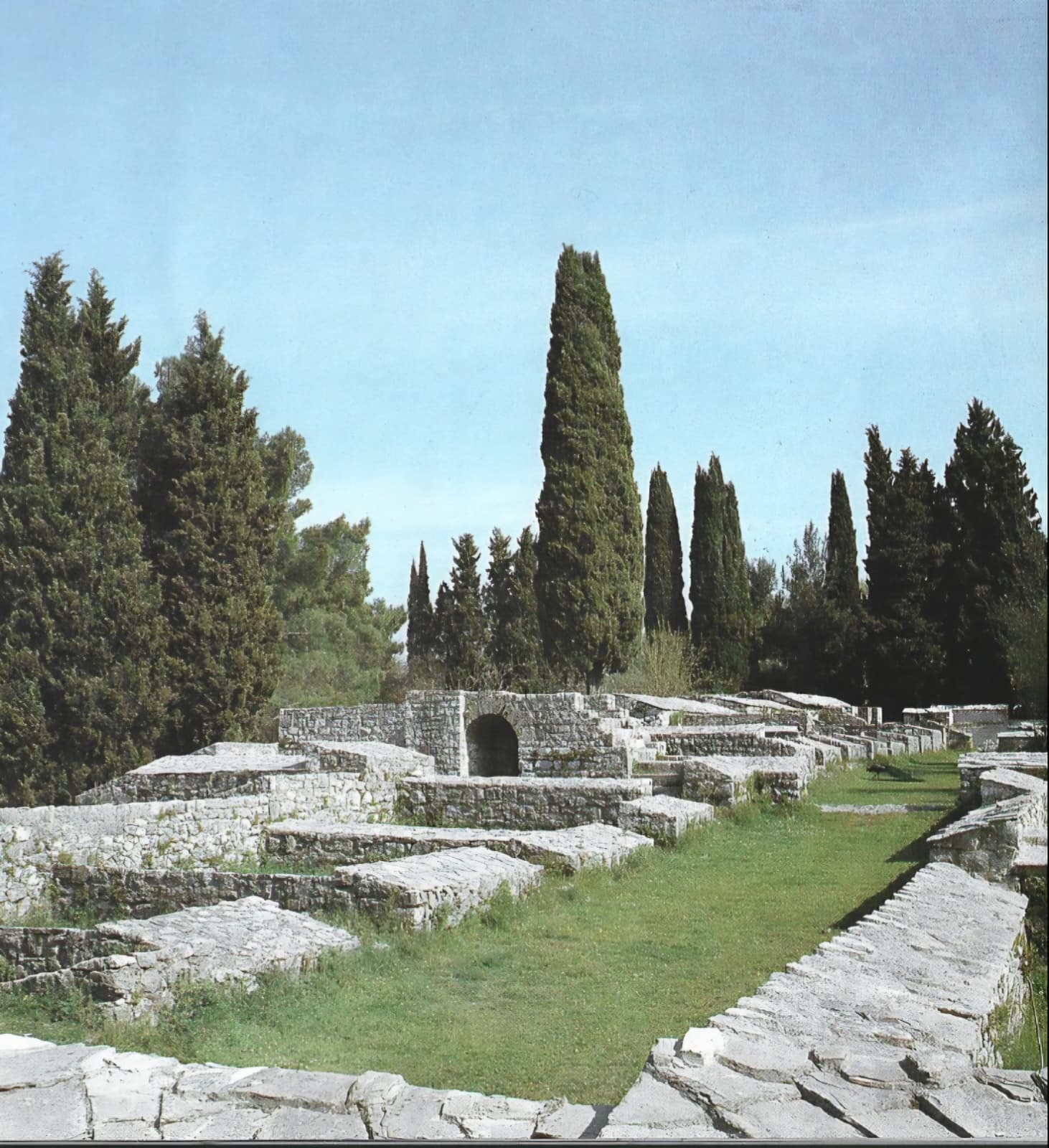 Mogorjelo