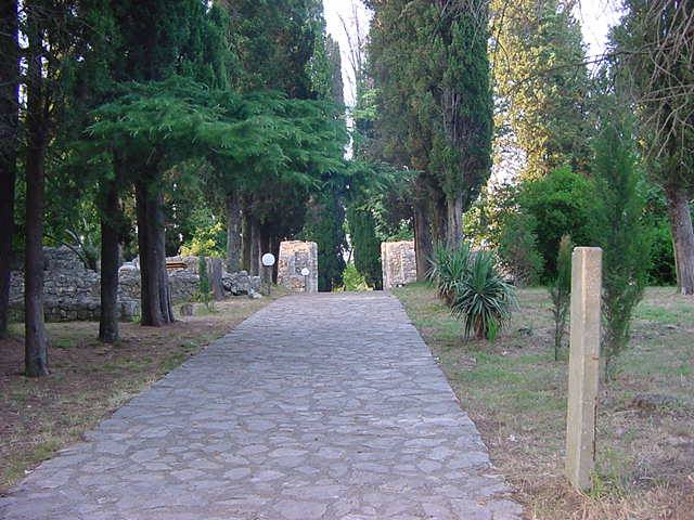 Mogorjelo