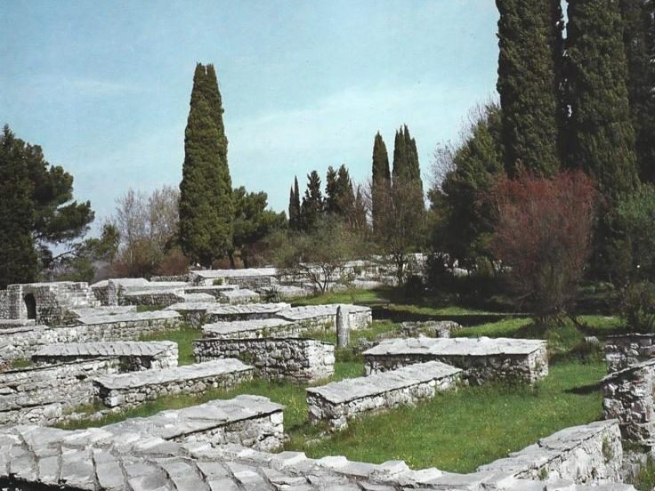 Mogorjelo