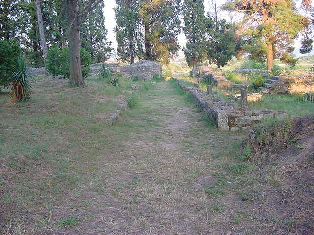 Mogorjelo