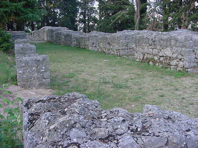 Mogorjelo
