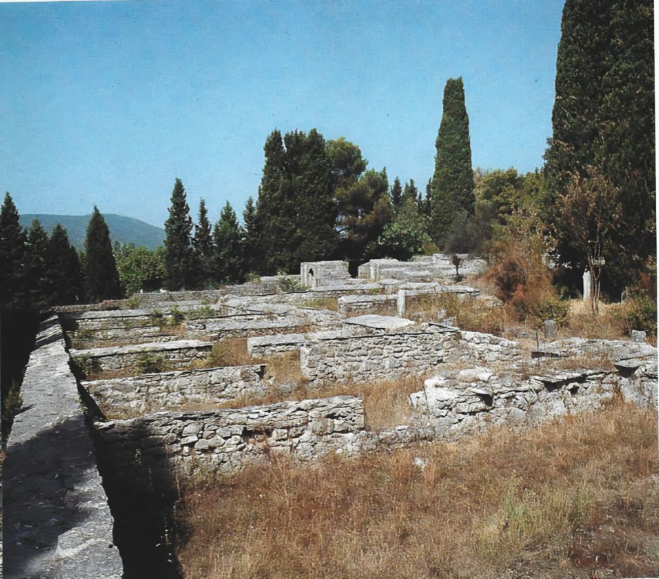 Mogorjelo